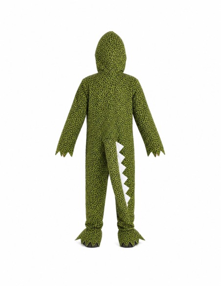 Costume Coccodrillo dinosauro | Costumi per bambini Il Re del Carnevale